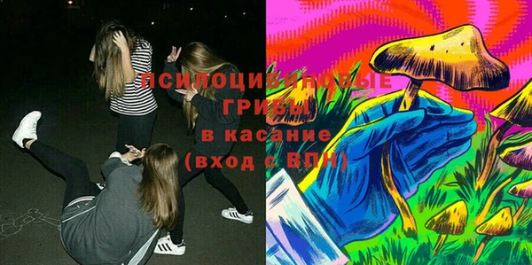 Альфа ПВП Горно-Алтайск