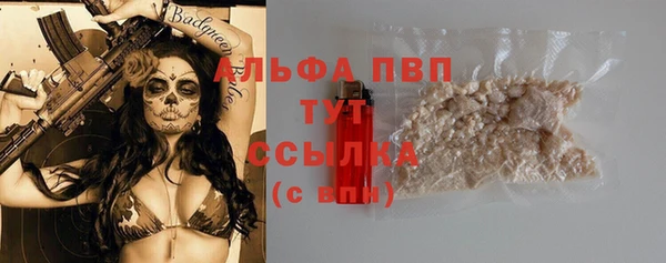 Альфа ПВП Горно-Алтайск