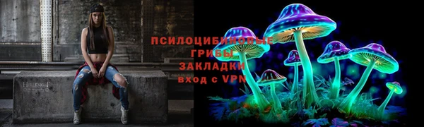 спиды Горняк
