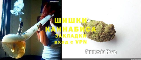 ГАЛЛЮЦИНОГЕННЫЕ ГРИБЫ Гусев