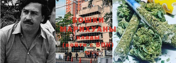 спиды Горняк