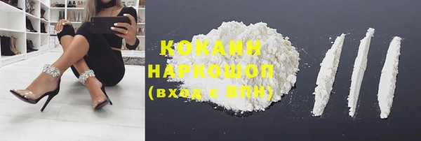 спиды Горняк