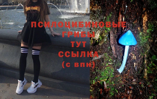 ГАЛЛЮЦИНОГЕННЫЕ ГРИБЫ Гусев