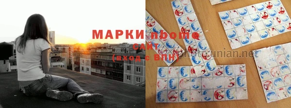 гидропоника Гусиноозёрск